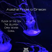 Awake From A Dream — The Jellyfish