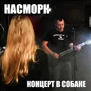 Под Каблуком (Live)