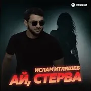 Ай, Стерва