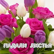 Падали Листья