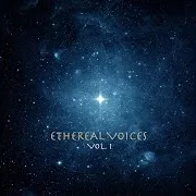 Sound Traveller — Light Of The Soul