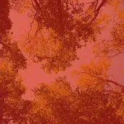 Гладкий; Плавный Расслабляющая Музыка — Чувство (Спать)