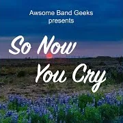 Awesome Band Geeks — So Now You Cry