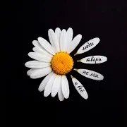 Ta Zhuravleva — Люби, Твори, Не Лги И Всё