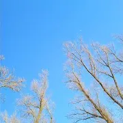 Культульпа — F50-F59