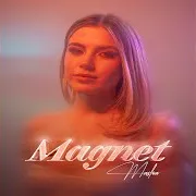 Magnet