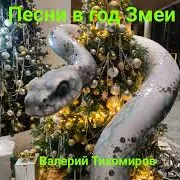 Валерий Тихомиров — Лиза