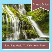Essential Oils Of The Forest