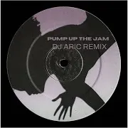 Dj Aric — Pump Up The Jam (Dj Aric Remix)