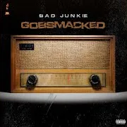 Bad Junkie — Dus Sar Ft The Lekhak