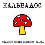 Kalvados — Медленно Ракеты Уплывают Вдаль...