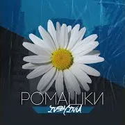 Ромашки