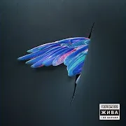 Обійми