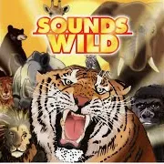 Lion, Roar Ft Roar