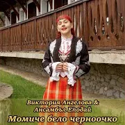 Веселин Козарев — Родопска Китка