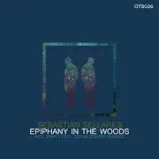 Sebastian Sellares — Epiphany In The Woods (Golan Zocher Remix)