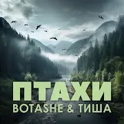 Птахи Ft Тиша