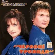 Барвисті Квіти