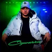 Одиночка