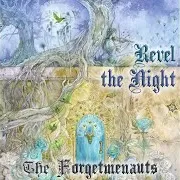 The Forgetmenauts — Sun On My Skin