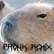 Capybara (Phonk Remix) Ft Dxxdly
