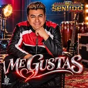 Grupo Doble Sentido De Pedro Maxinez — Me Gustas