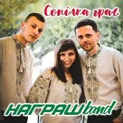 Батьку Мій Лебедю Сивий