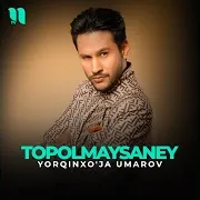 Topolmaysaney