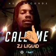 Zj Liquid — Call Me