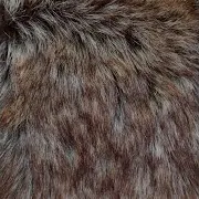 Secret Track