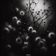 Anechoic Chamber Music — Неясыть