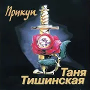 Таня Тишинская — Дтп
