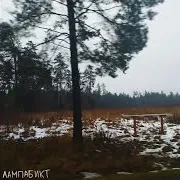 Лампабикт — Ирония
