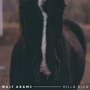 Walt Adams — We Are Nomads