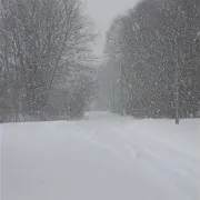 Холодный Ветер За Окном