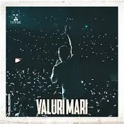 The Motans — Valuri Mari