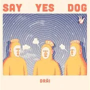 Say Yes Dog — Look At You