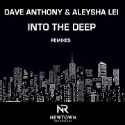 Into The Deep (N'dinga Gaba Remix) Ft Aleysha Lei