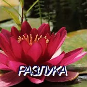 Разлука