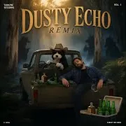 Dusty Echo — Im Not Going To Tke Your Fucking Shit Today