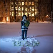 Новогодняя