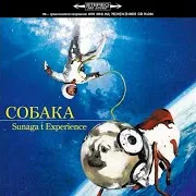 Sunaga T Experience — An Announcement For Coбaka (Crouka)