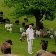 Хас — Дикий Знову Тут