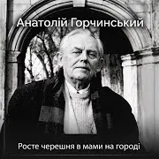 Росте Черешня В Мами На Городі