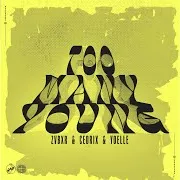 Zvbxr — Too Many Young Ft Cedrix & Yoelle