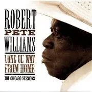 Robert Pete Williams — I Just Can't Stand It No More