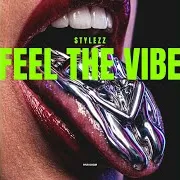 Stylezz — Feel The Vibe (Extended Mix)