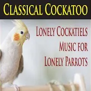 The Suntrees Sky — March Of The Parrots