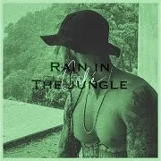 Cale — Rain In The Jungle