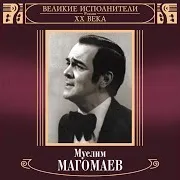 Вдоль По Питерской